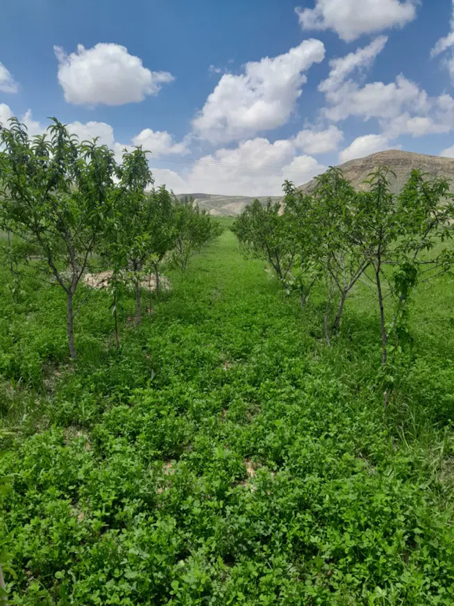 زمین  روستای چهارخروار
