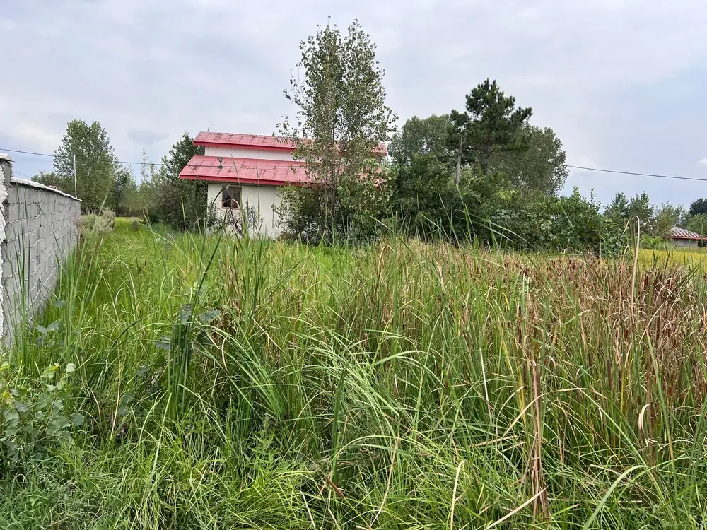 زمین باغی