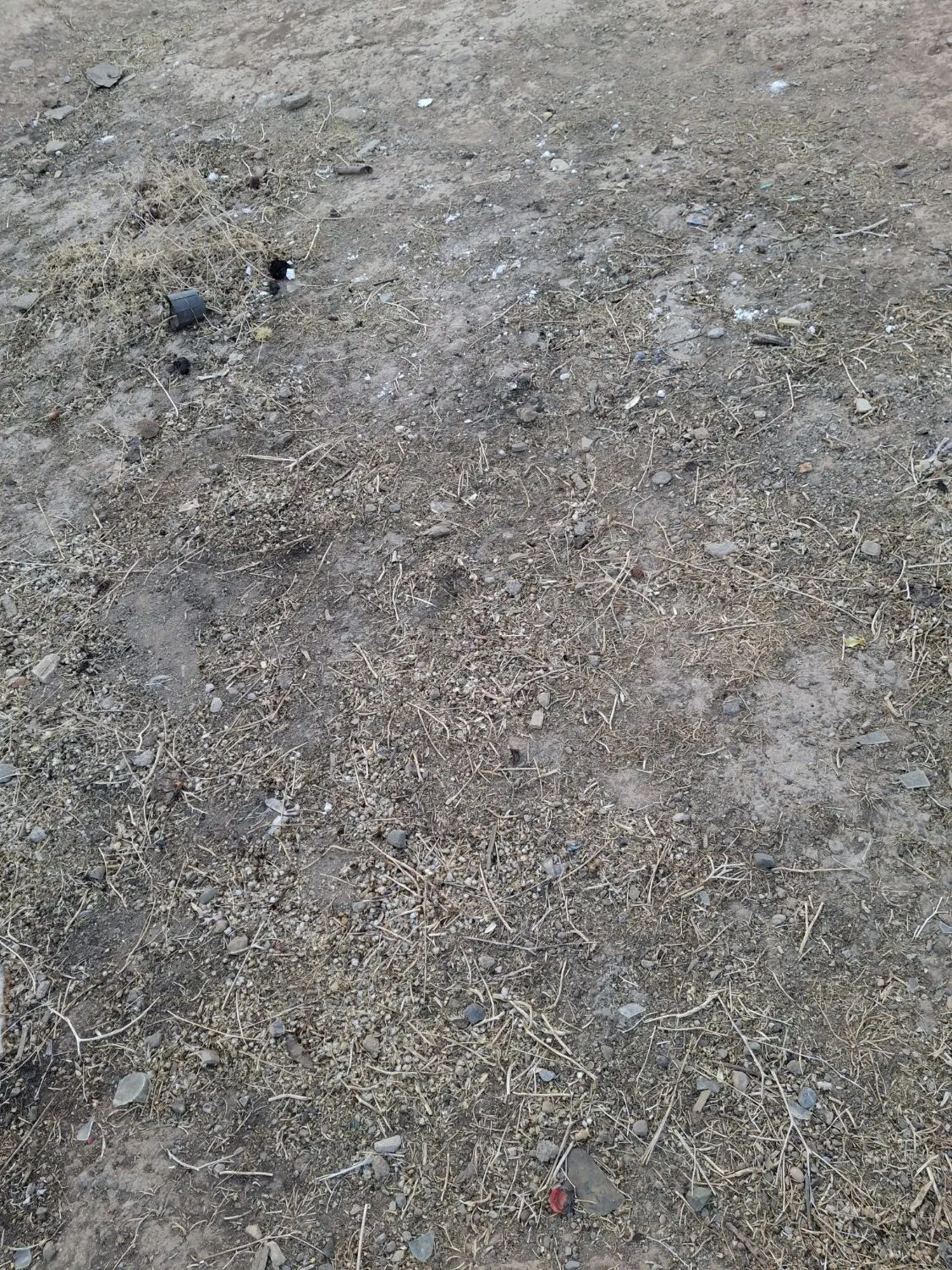 زمین شهرک نادی