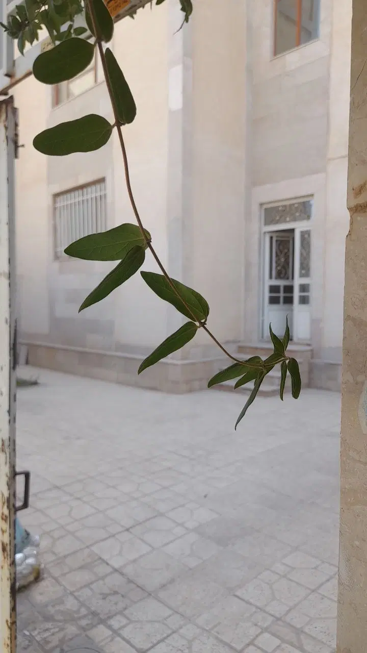 اجاره خانه ویلایی رسام مرکز شهر
