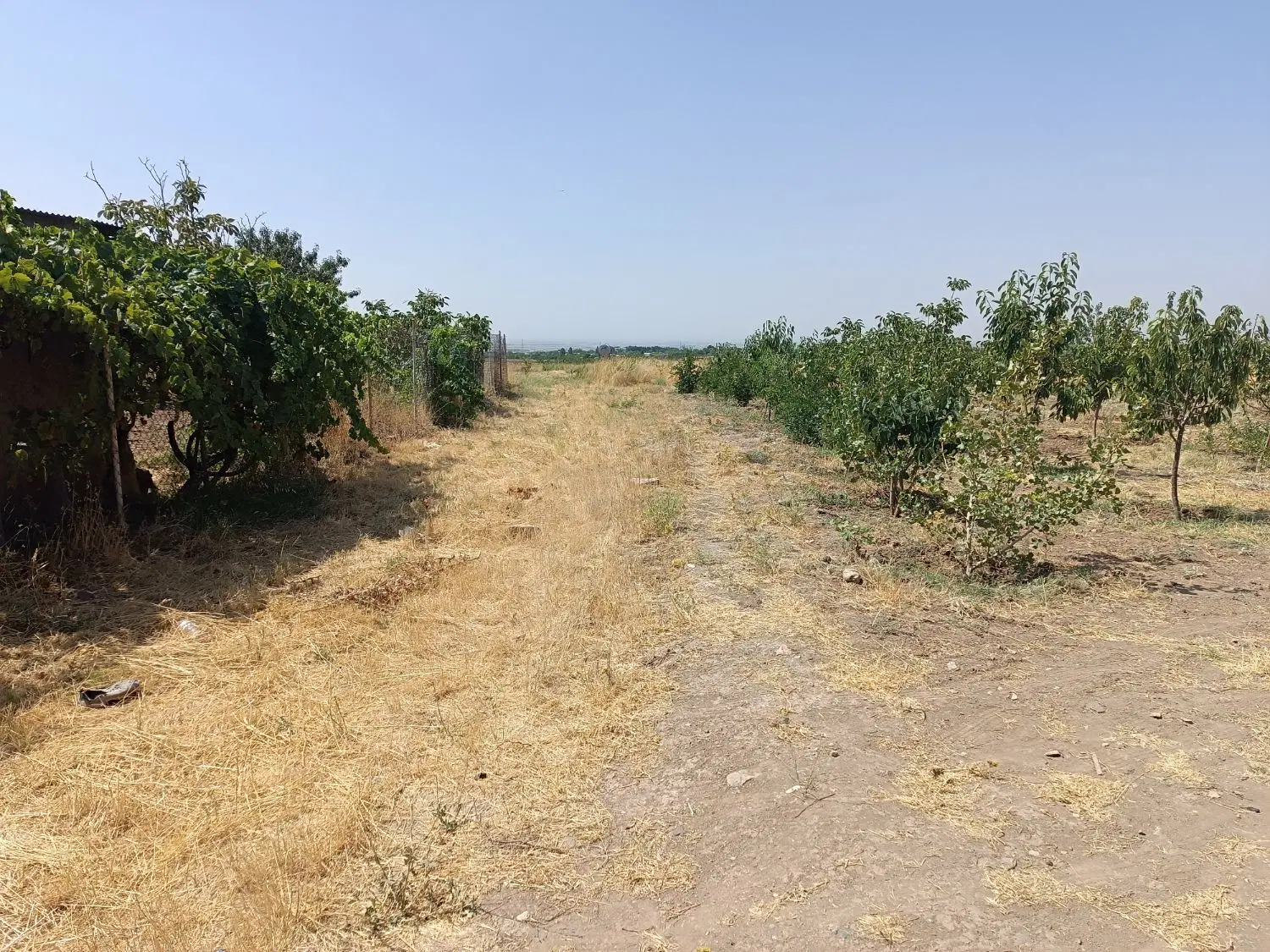 زمین کشاورزی ویلایی