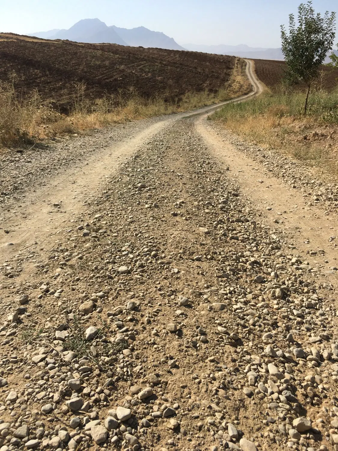 زمین در گلبهار