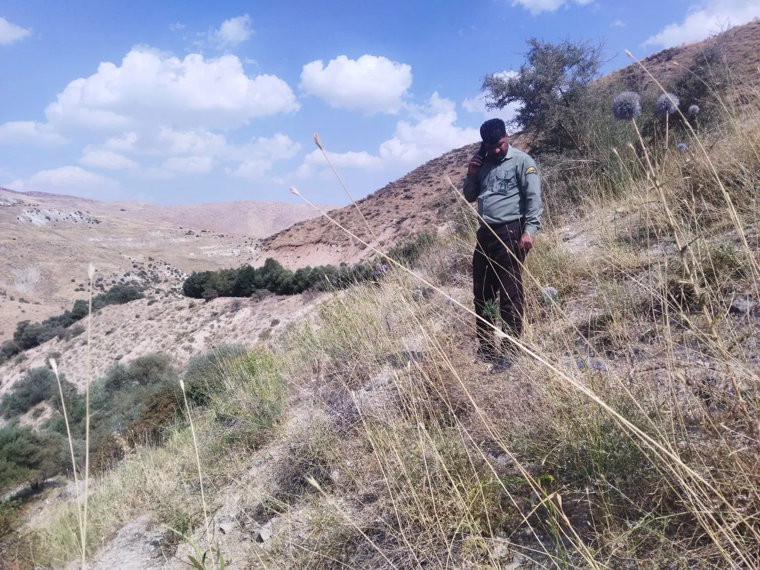 زمین مسکونی میدان ولیعصر