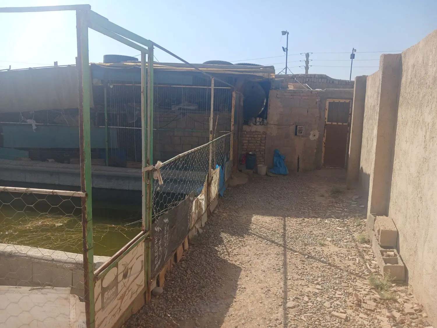 فروش باغ سند دار (تک برگ)