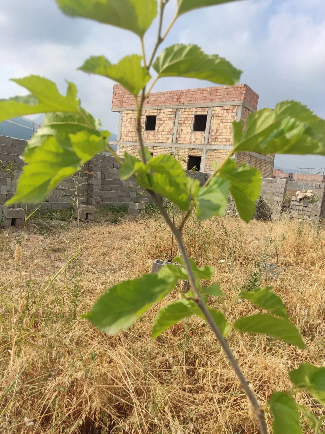 زمین مسکونی
