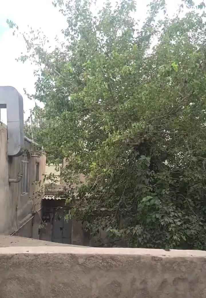 خونه ۶۵متری