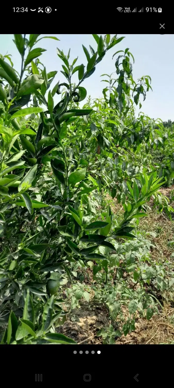 فروش زمین