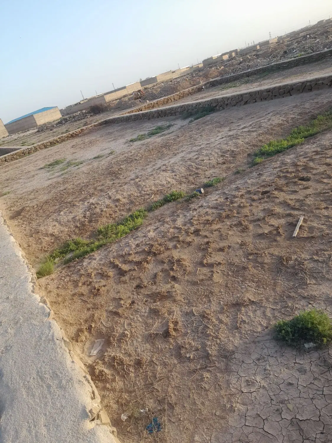 زمین کوی سادات