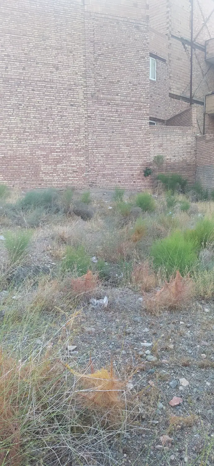 زمین مسکونی