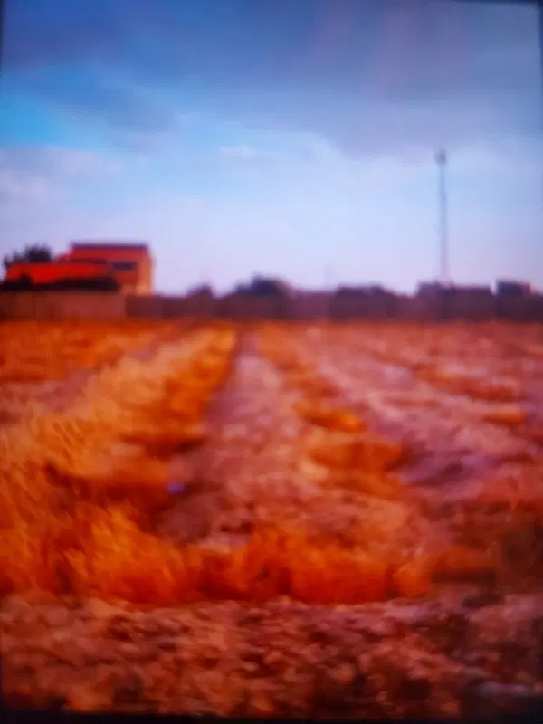 زمین خالی در خیابان امام زاده حمزه