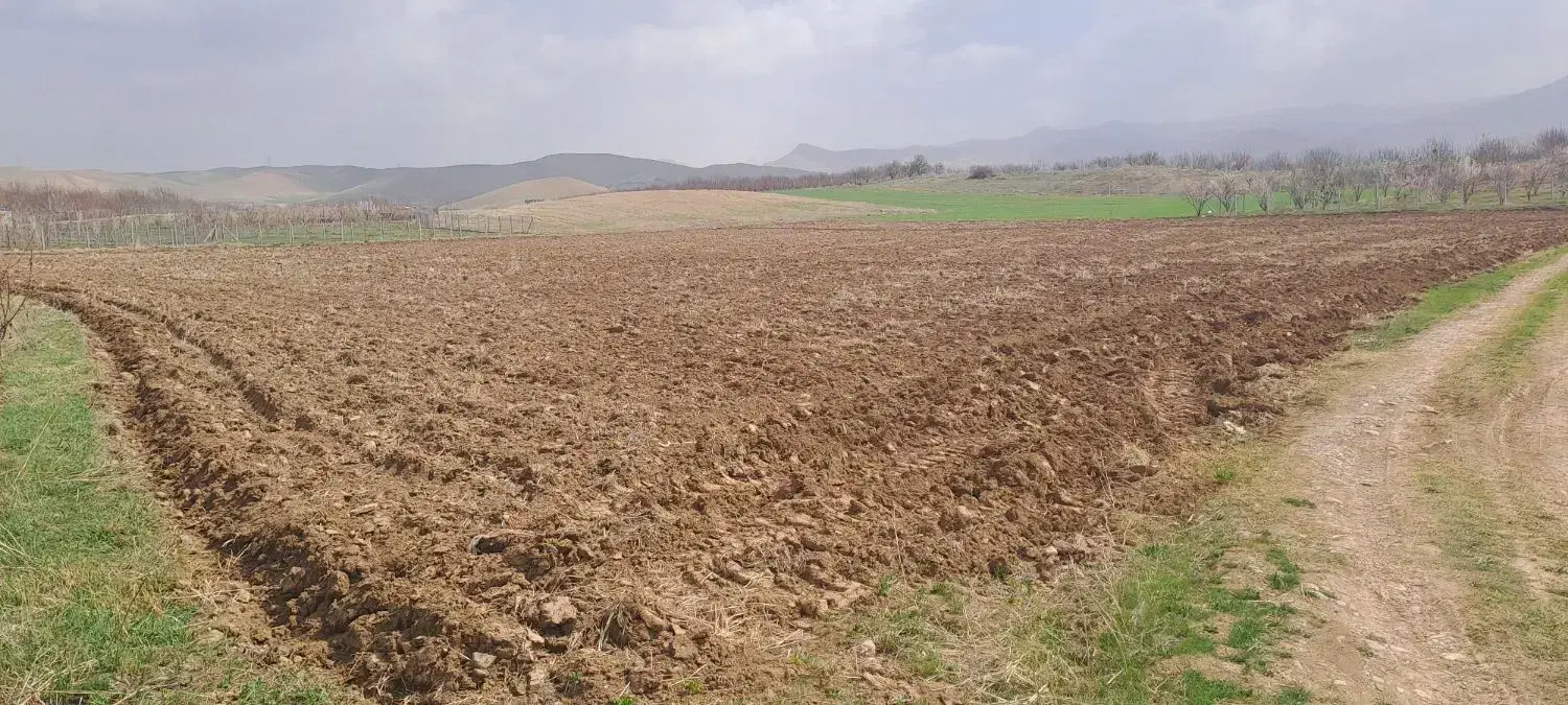 ۲۷ جریب زمین کشاورزی دیم روستای سلطان آباد