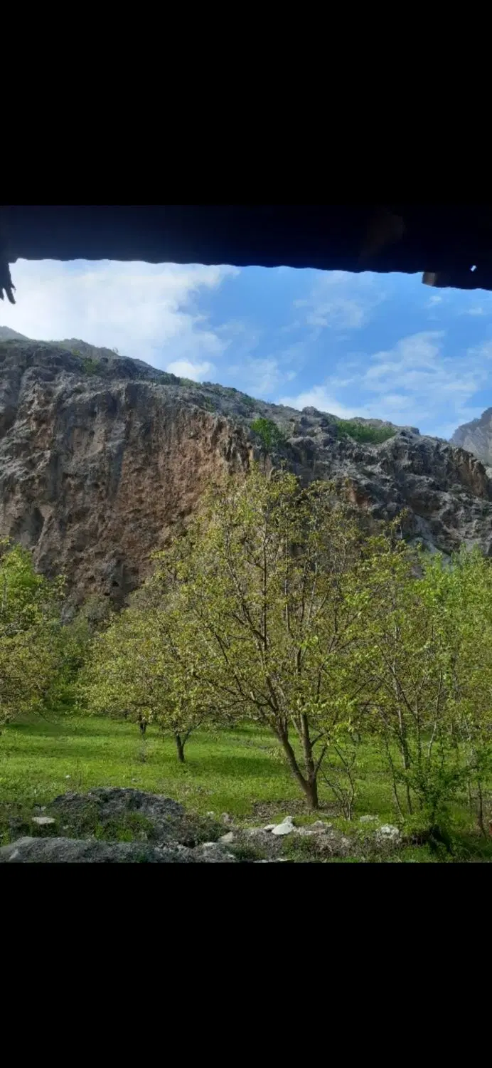 زمین باغ گردو