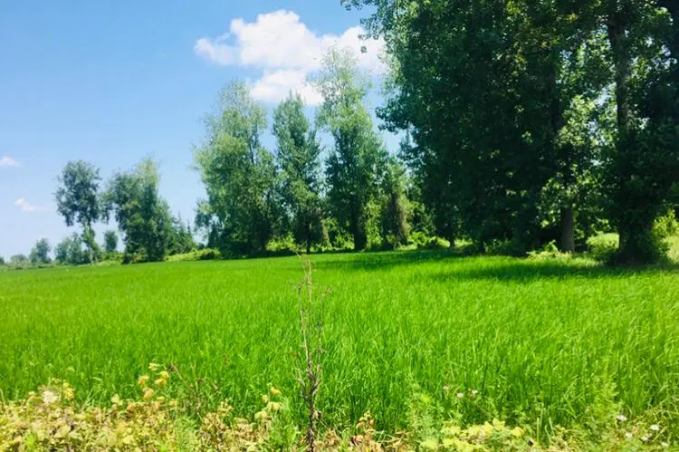 فروش زمین