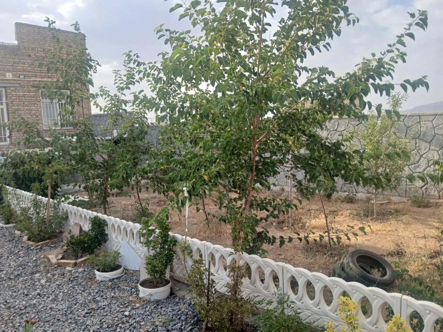 زمین دوراهی گوار