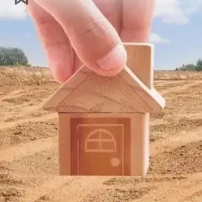 زمین شناژ اسکلت