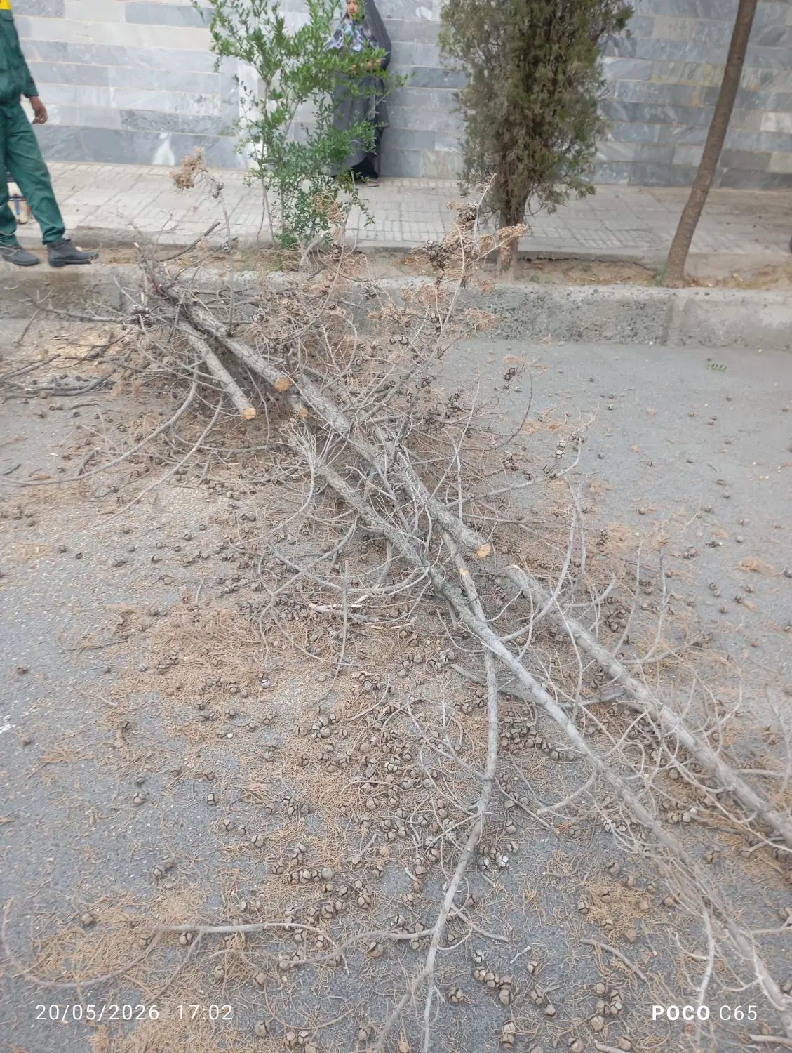 زمین مسکونی اسفدن