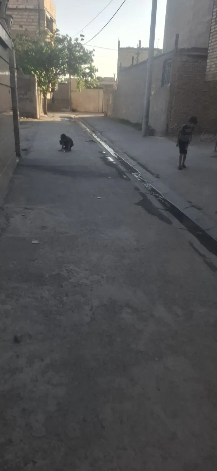 خانه ویلایی مهدی 15