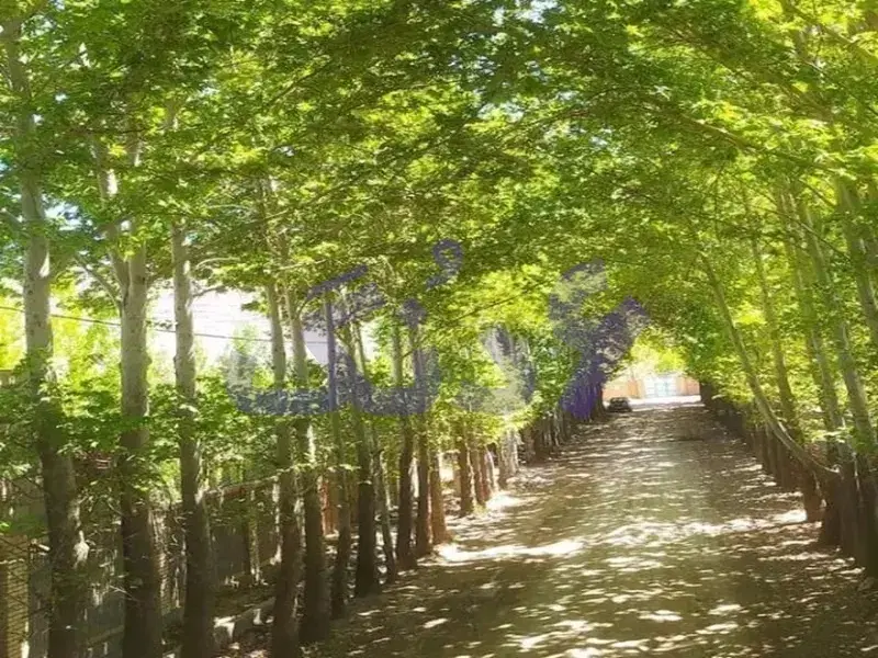 فروش زمین روستای دهنوقلندری کوچه خان