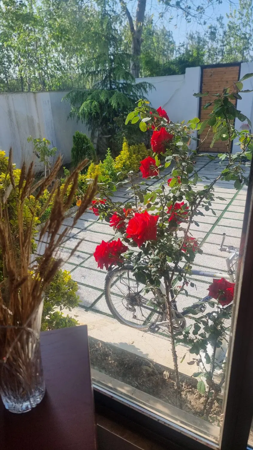 ملک فروشی