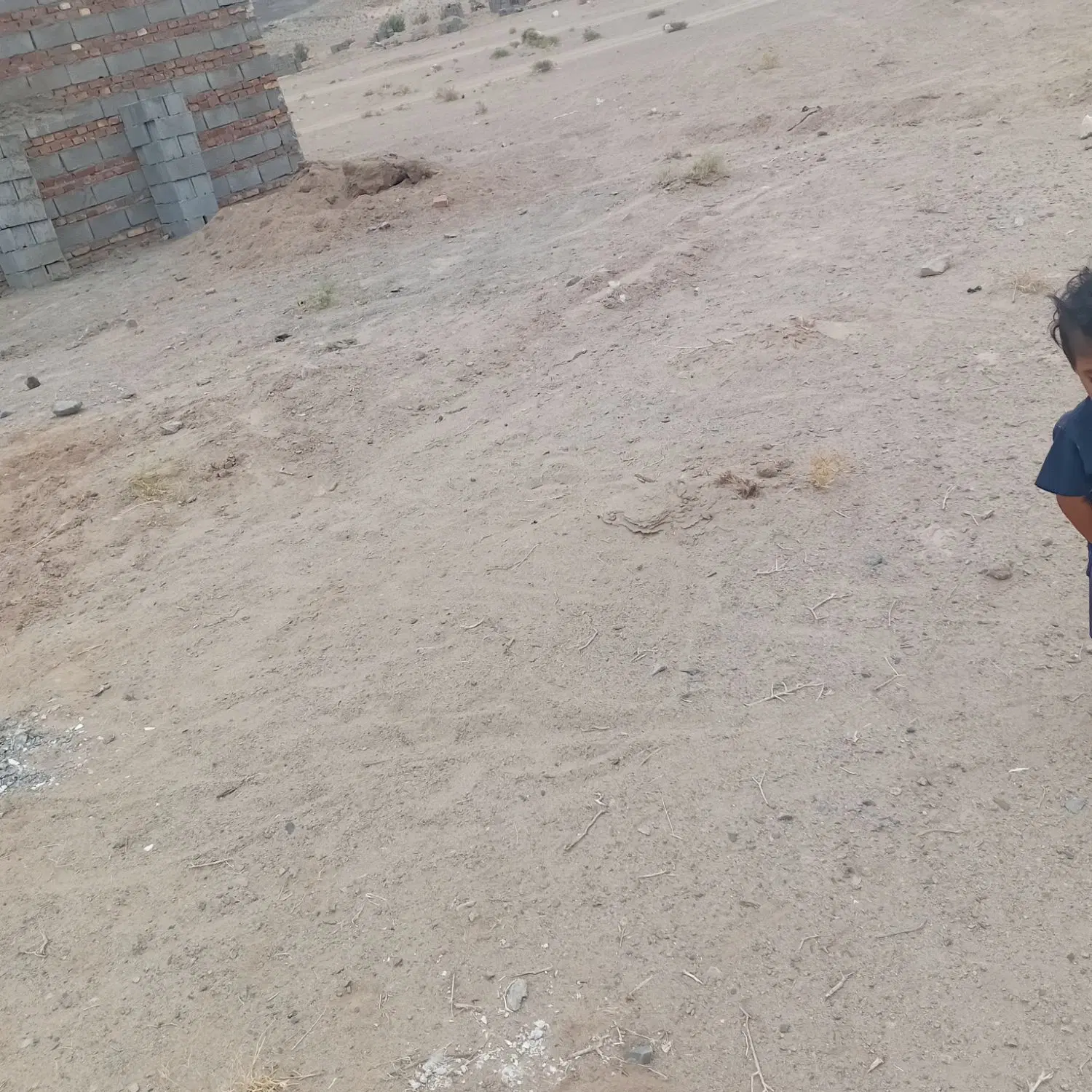 زمین فروشی