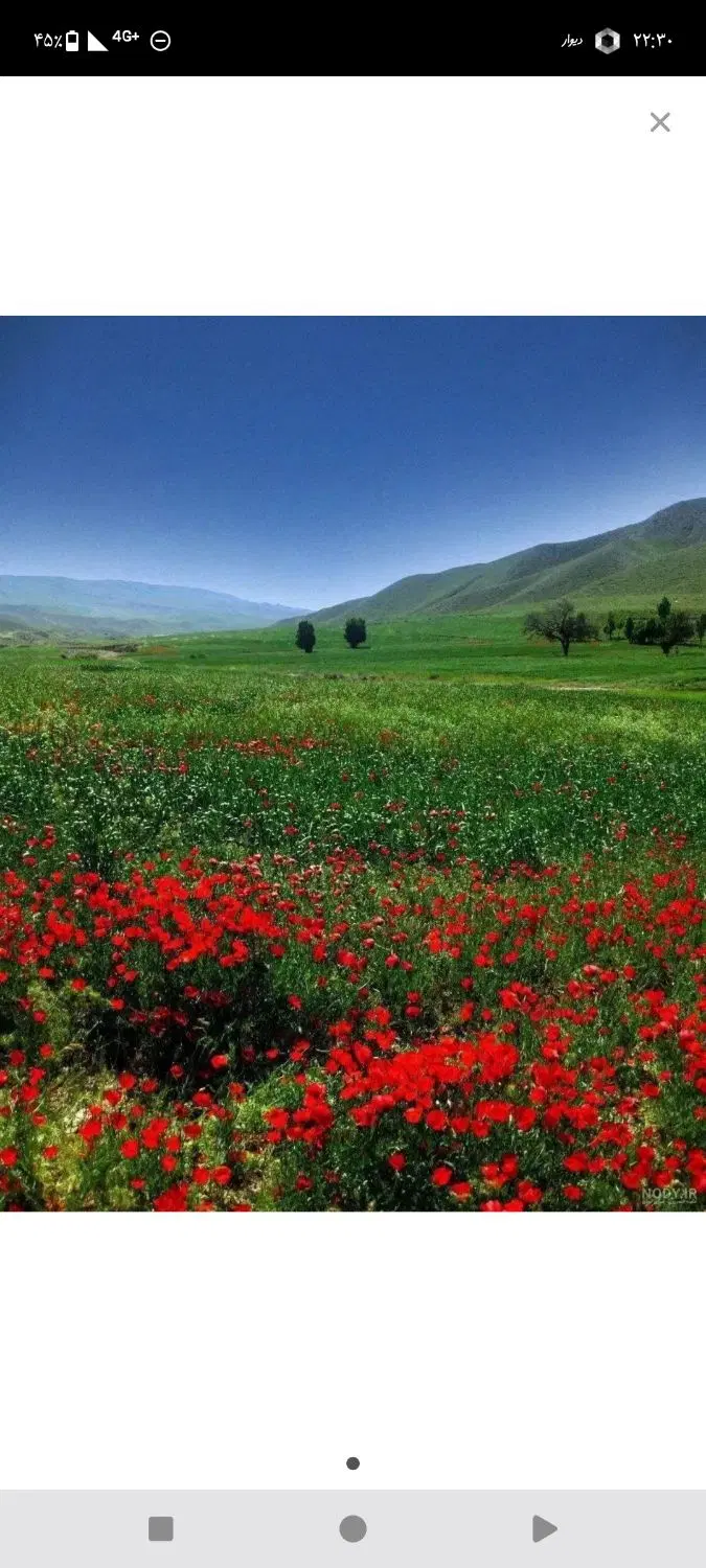 زمین کشاورزی