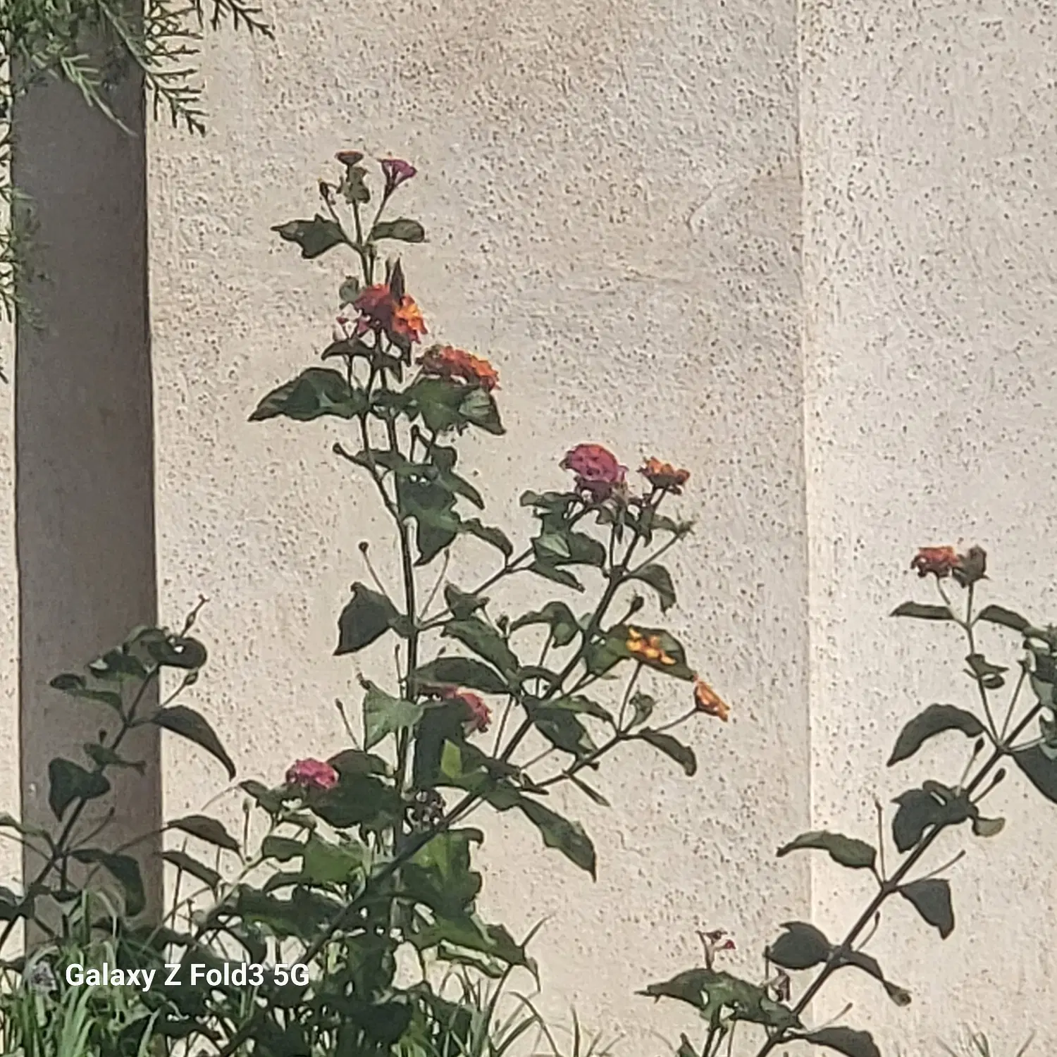 اسکلت دوطبقه برای سرمایه گذاری