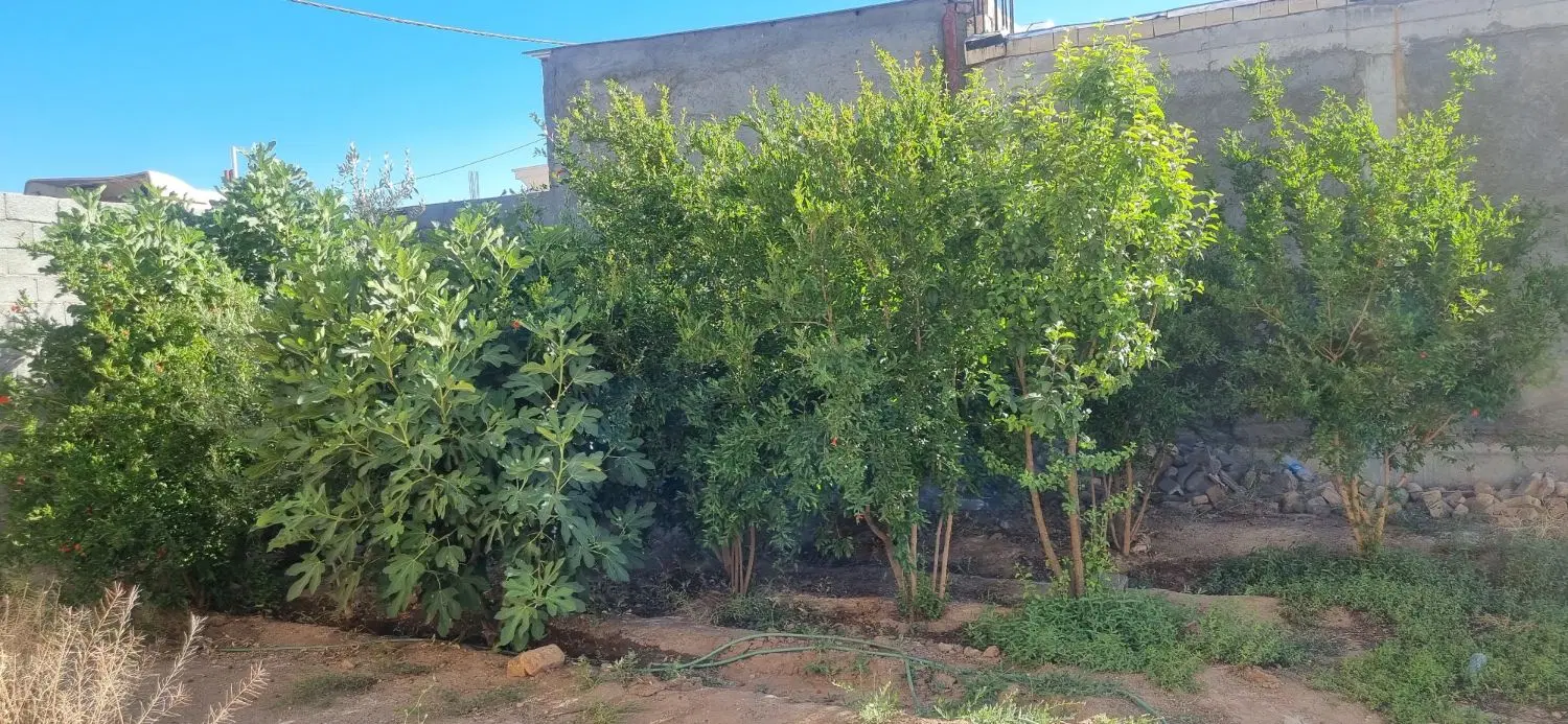فروش خانه باغچه حسین اباد هماشهر