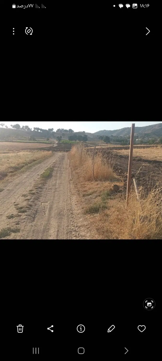 زمین  کشاورزی