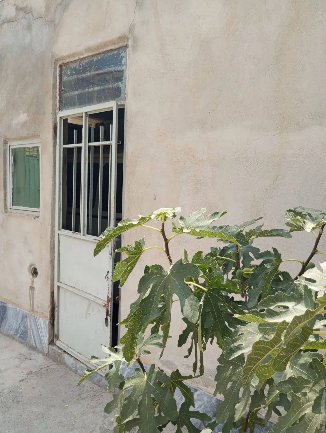 زمین مسکونی