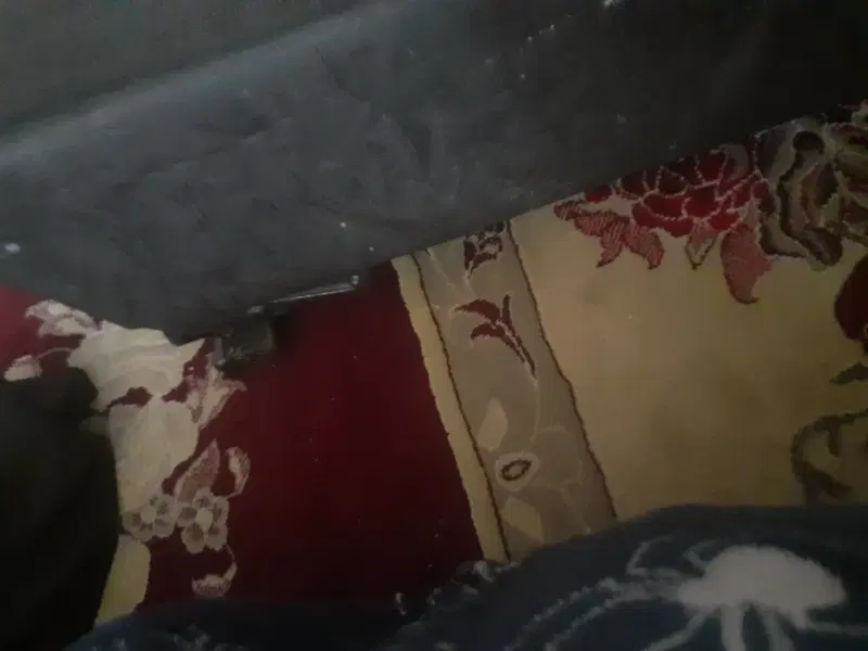 اجاره خانه در دالکی