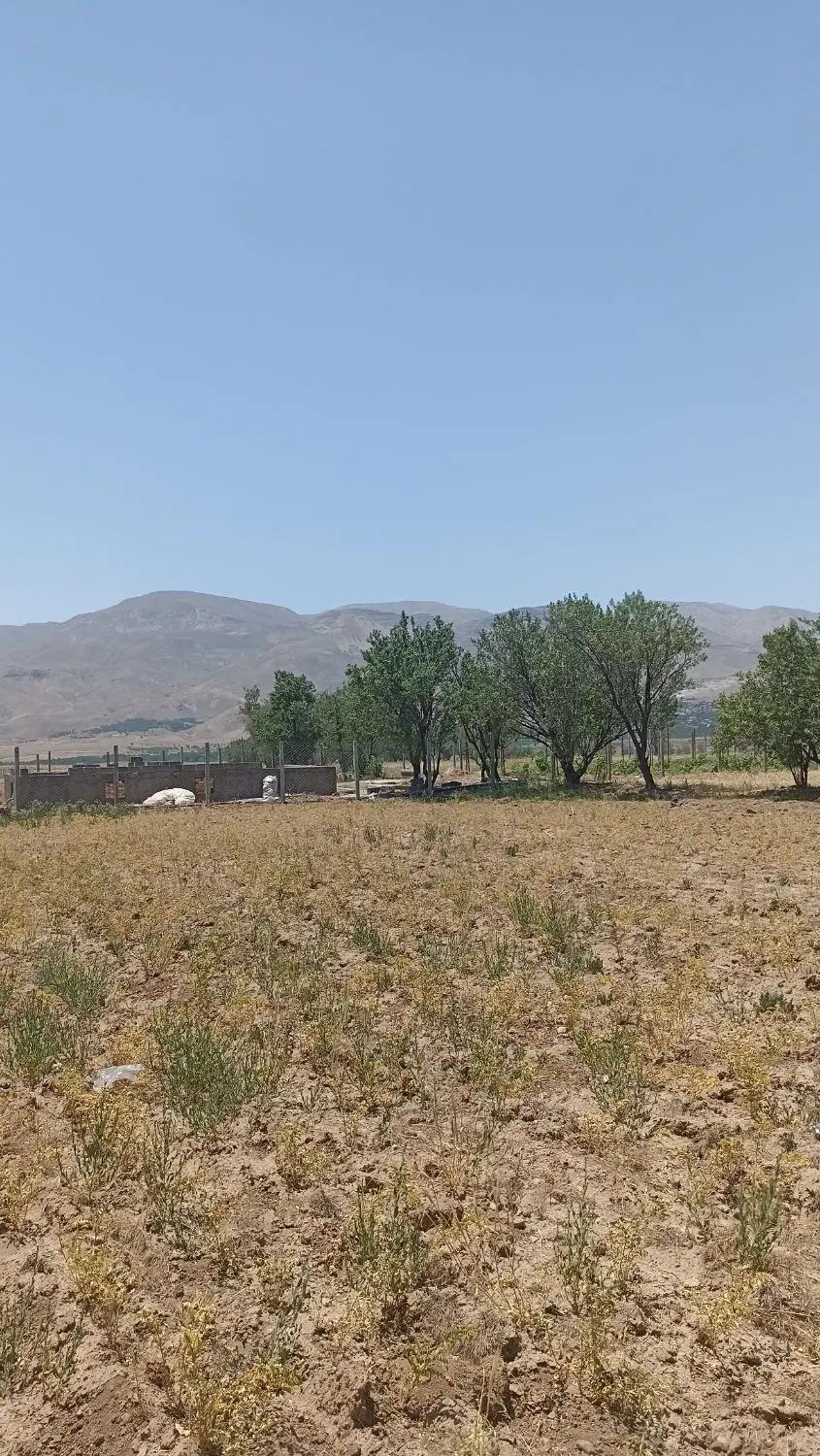 زمین زراعی 1400 متر  روستای سرسبز یلداش آباد