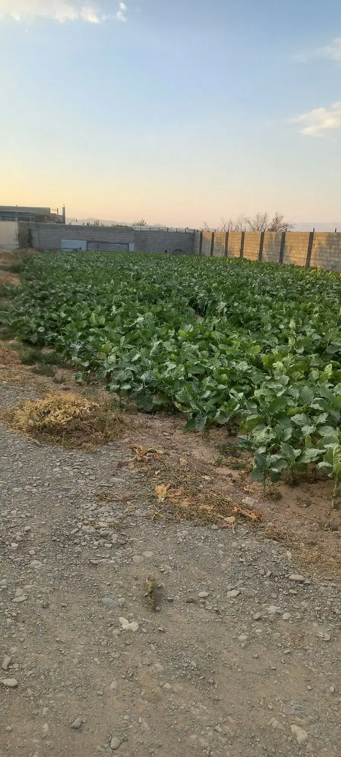 زمین ۴۲۰ متر شهرکی