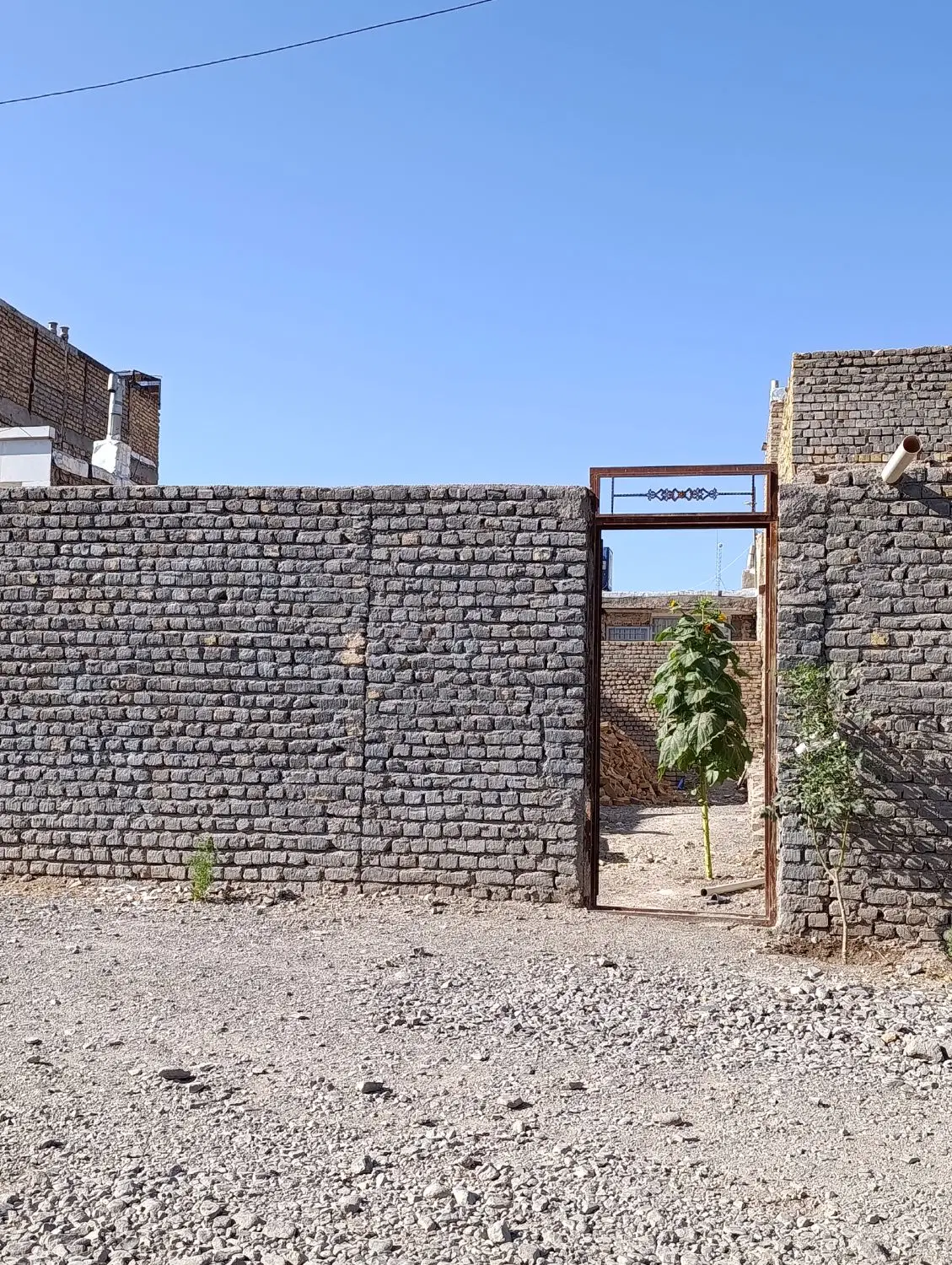 زمین واقع در خیابان هاشمی نژاد ۶