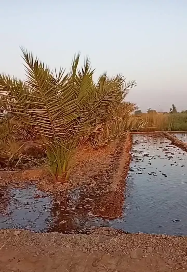 زمین کشاورزی وخانه