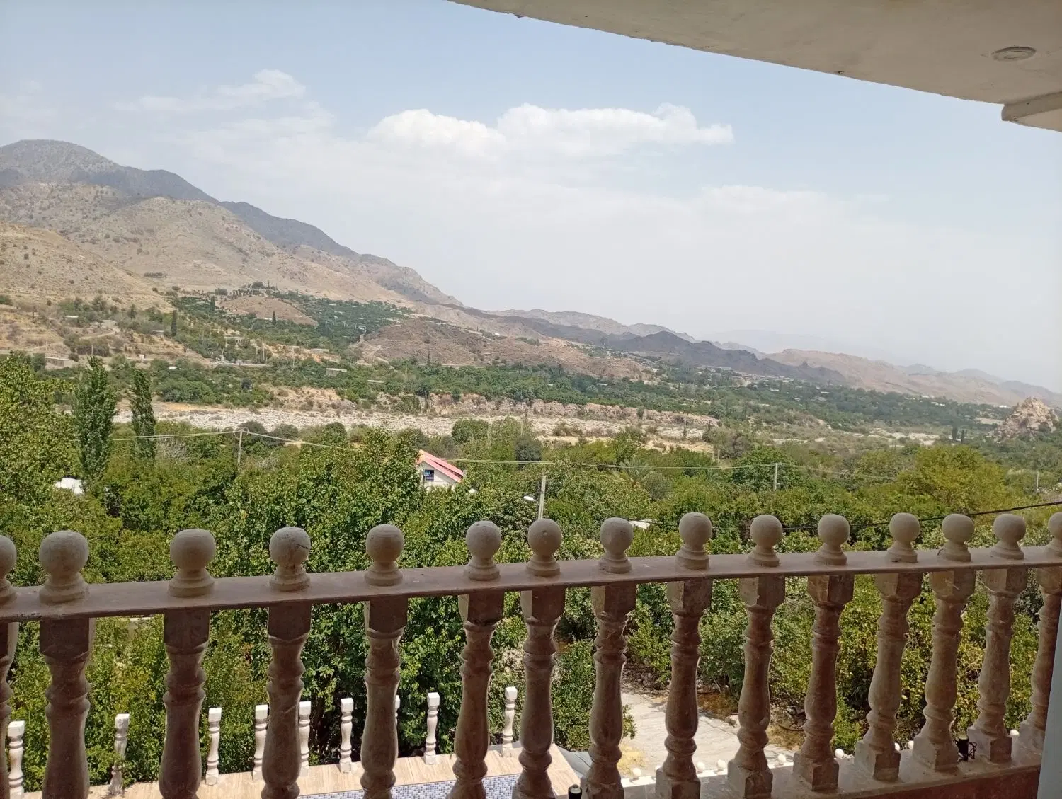 فروش فوری باغ ۴۲۰۰ متری در دلفارد (جیرفت)