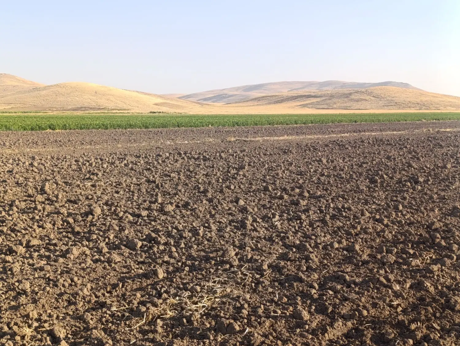 دارای8هکتارزمین زراعی برای کشت شراکتی سیر