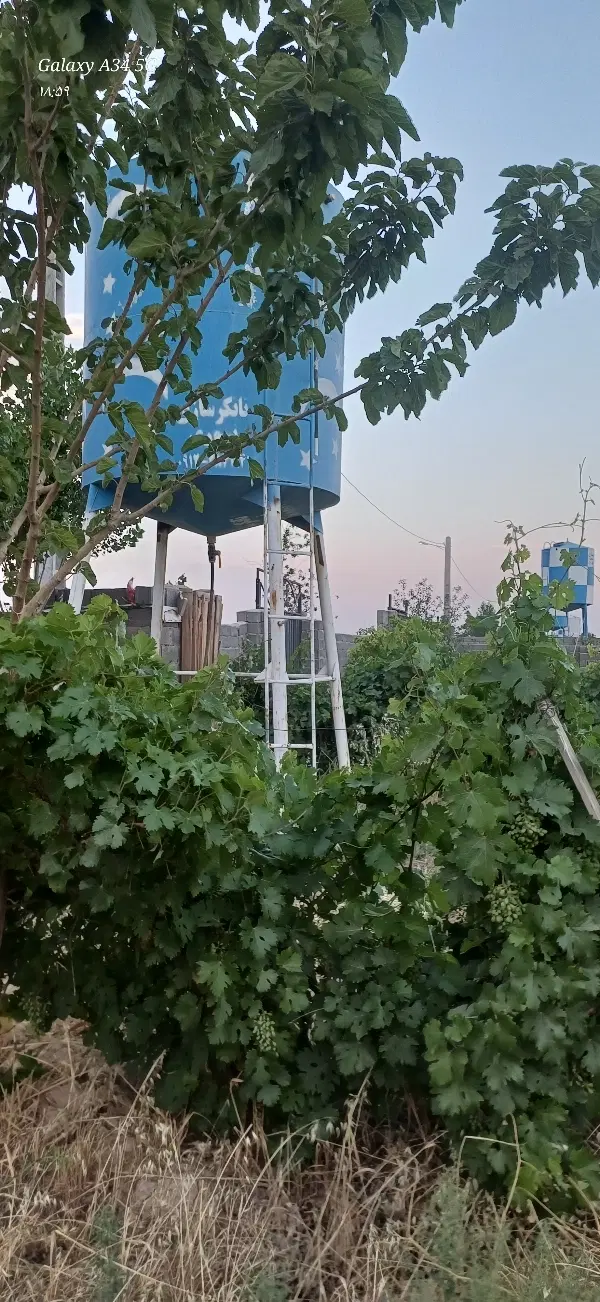 باغچه در وهن آباد خیابان مبل علی