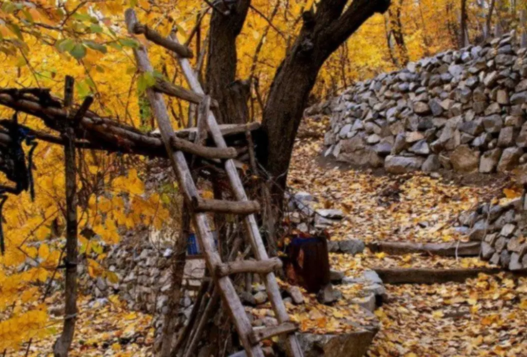 باغ پایین کوه