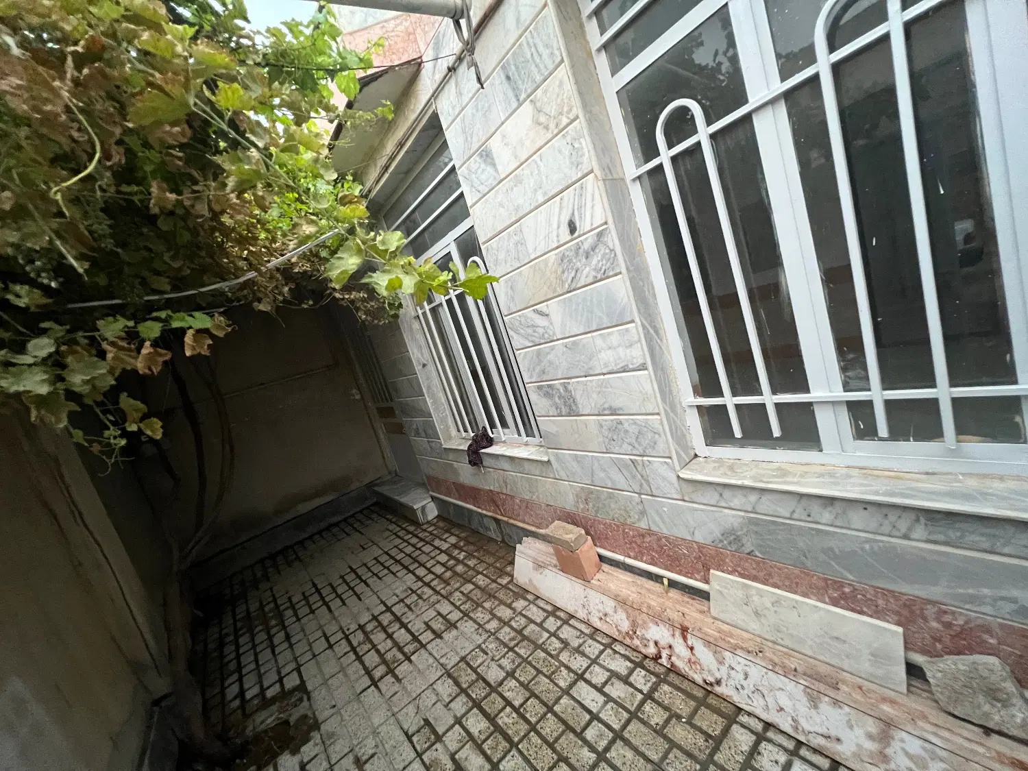 ملک ویلایی جامی ۱