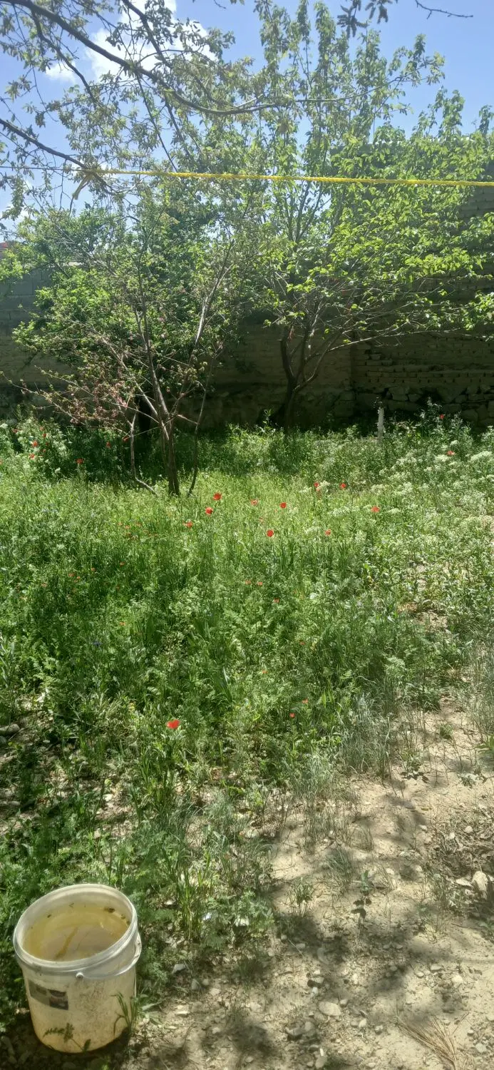خونه باغ قدیمی