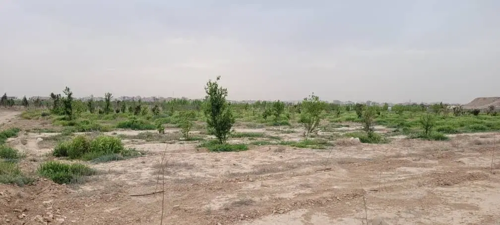 زمین صنعتی (پروژه صنعت)