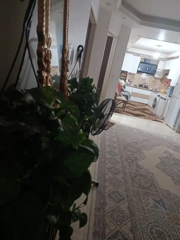 همخونه