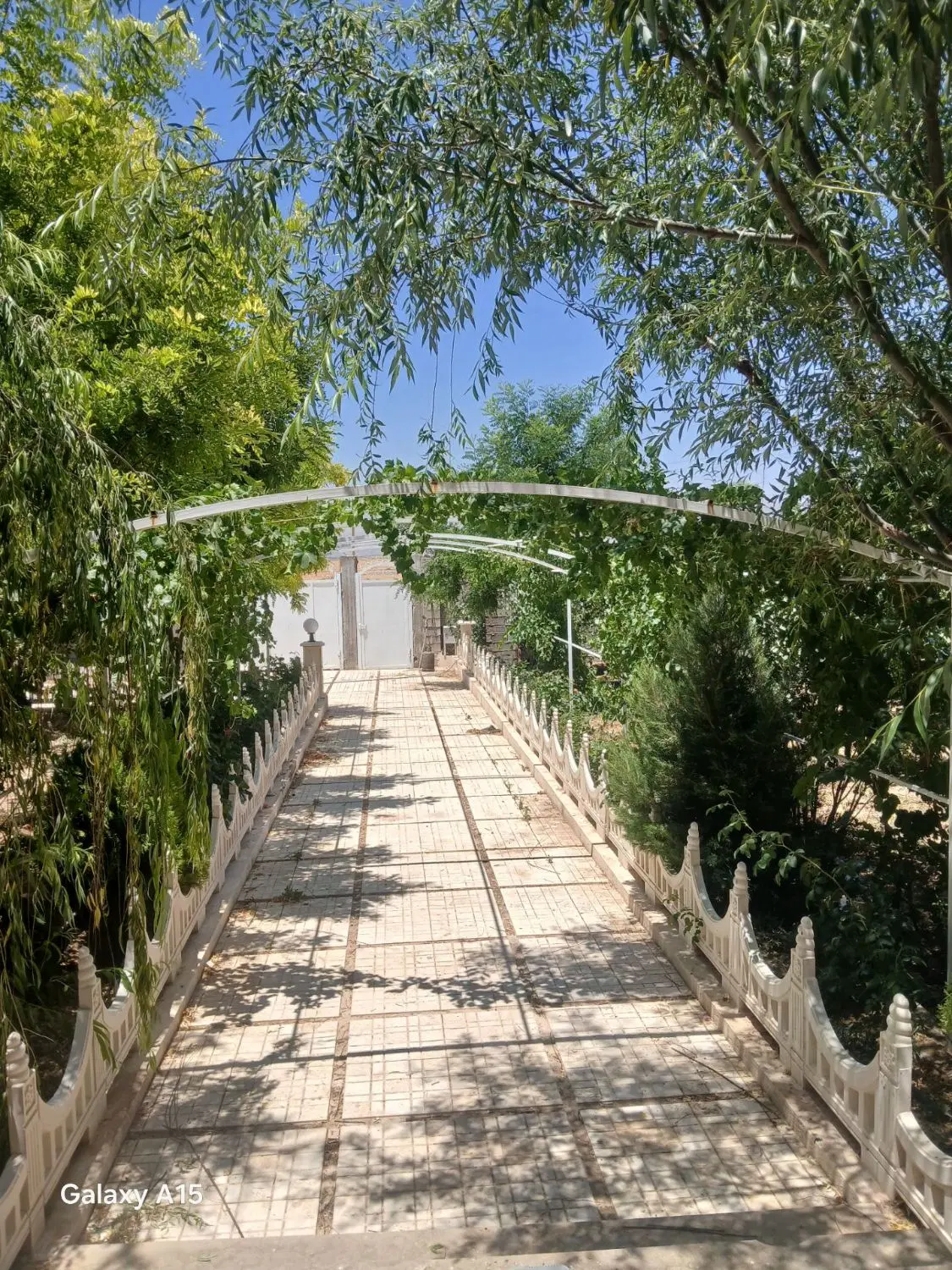 فروش باغ شهری شیراز
