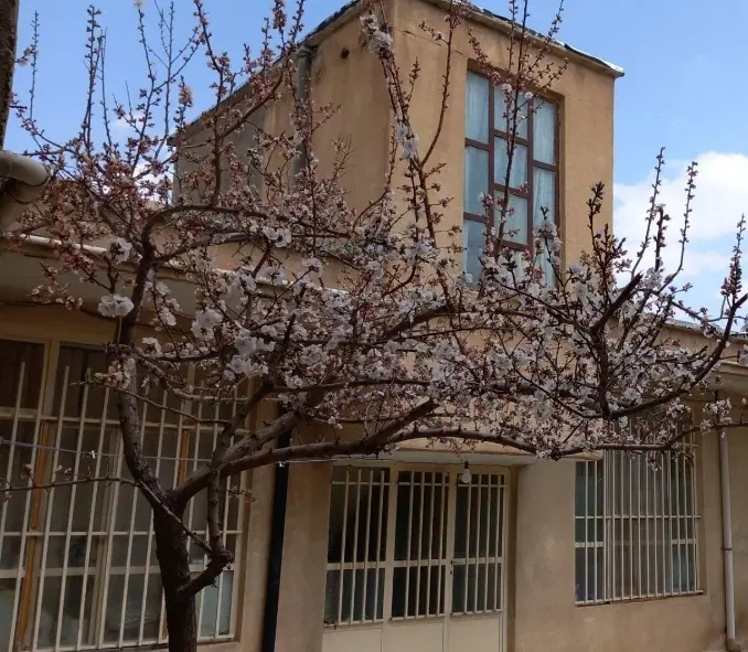 خانه حیاط دار