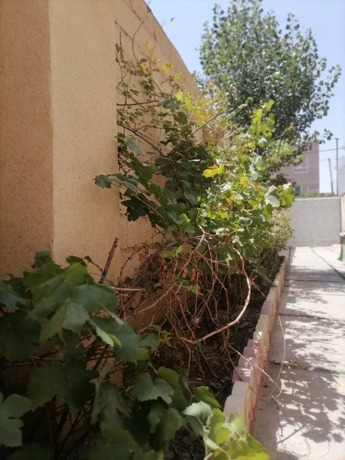 فروش ویلایی درصفادشت۲۰۰متر زیربنا