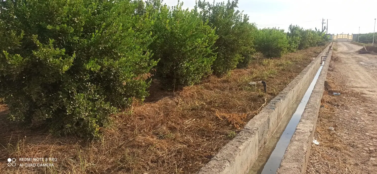 باغچه برقداربنوار حسین
