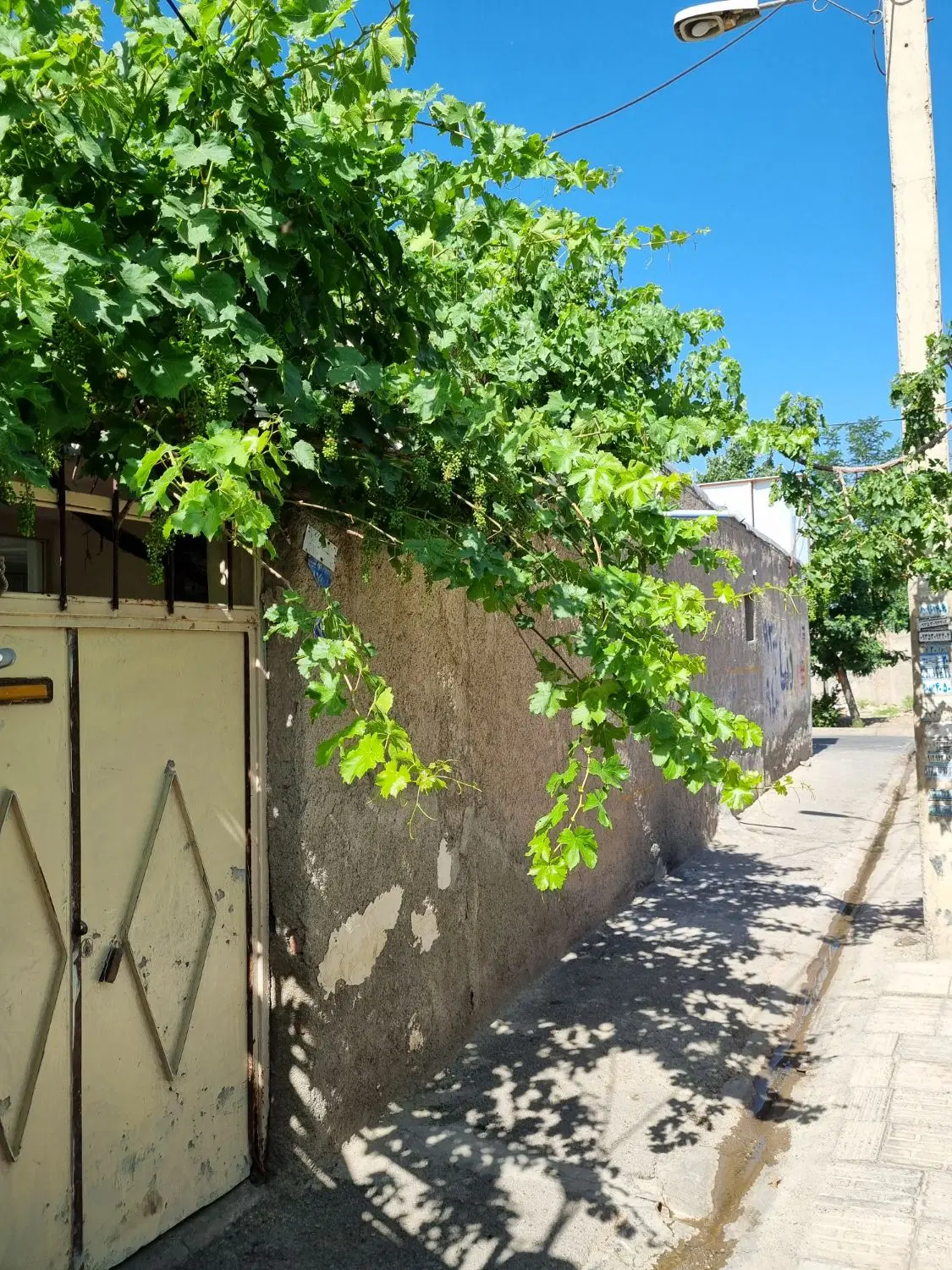 زمین ۱۸۰ متری