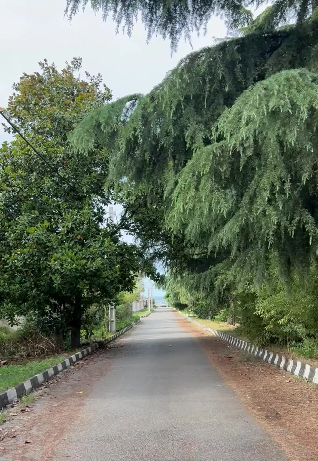 زمین کنار دریا