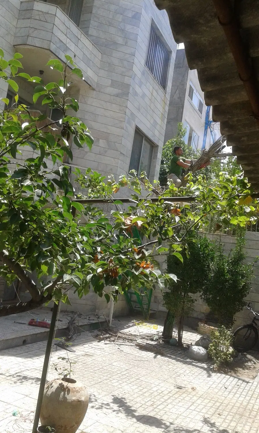 فروش یک دانگ منزل ویلایی