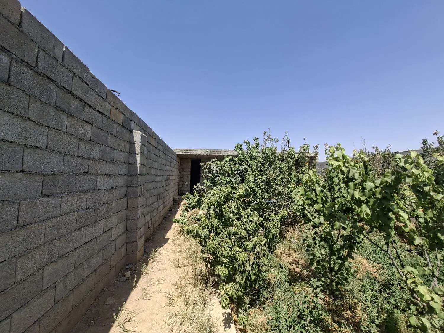 فروش باغ ۲۵۰ متری قلعه سفید.